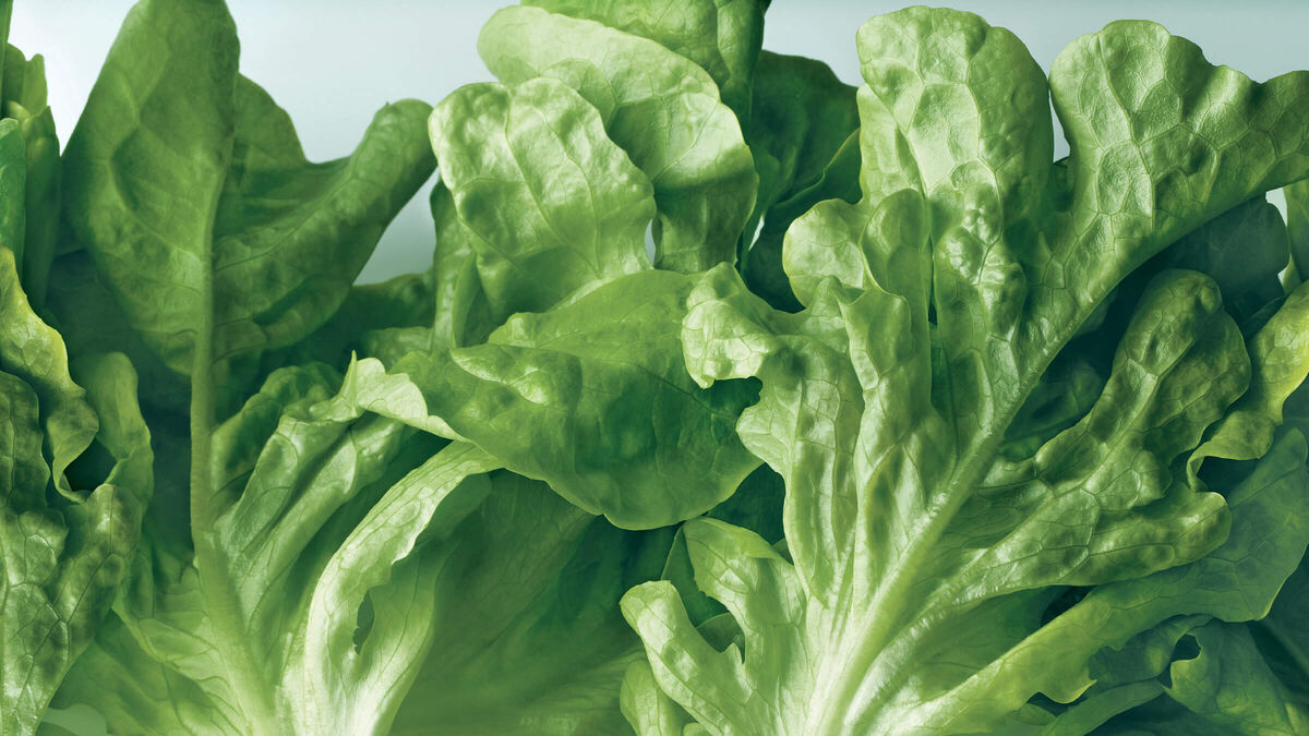 FISHER & PAYKEL | ACTIVESMART™ FOODCARE