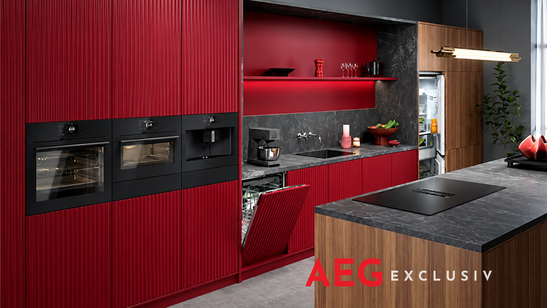 AEG - Exclusiv Collection